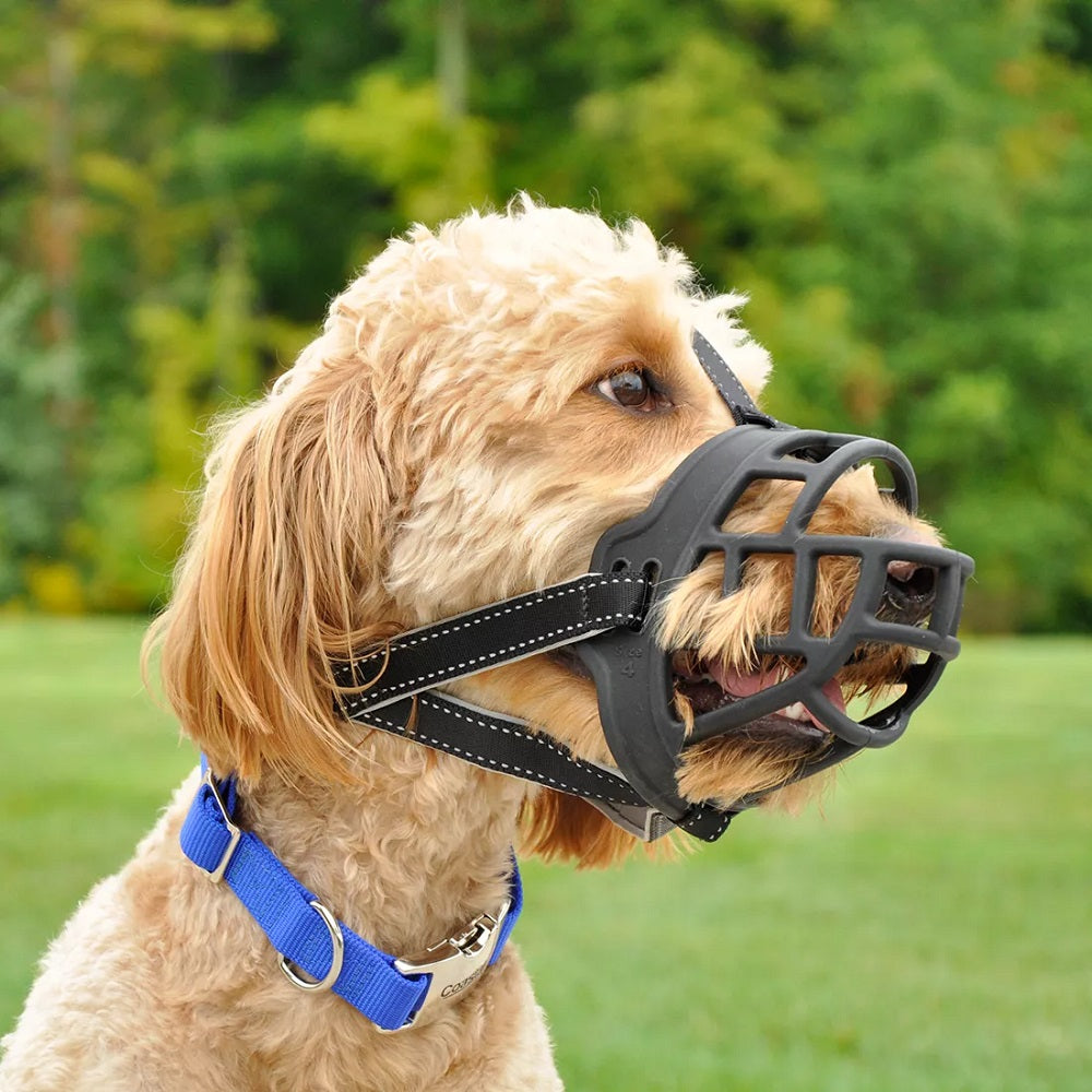 Coastal Soft Basket Muzzle