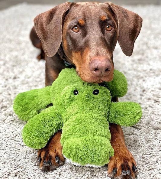 Kong Cozie Ali Alligator