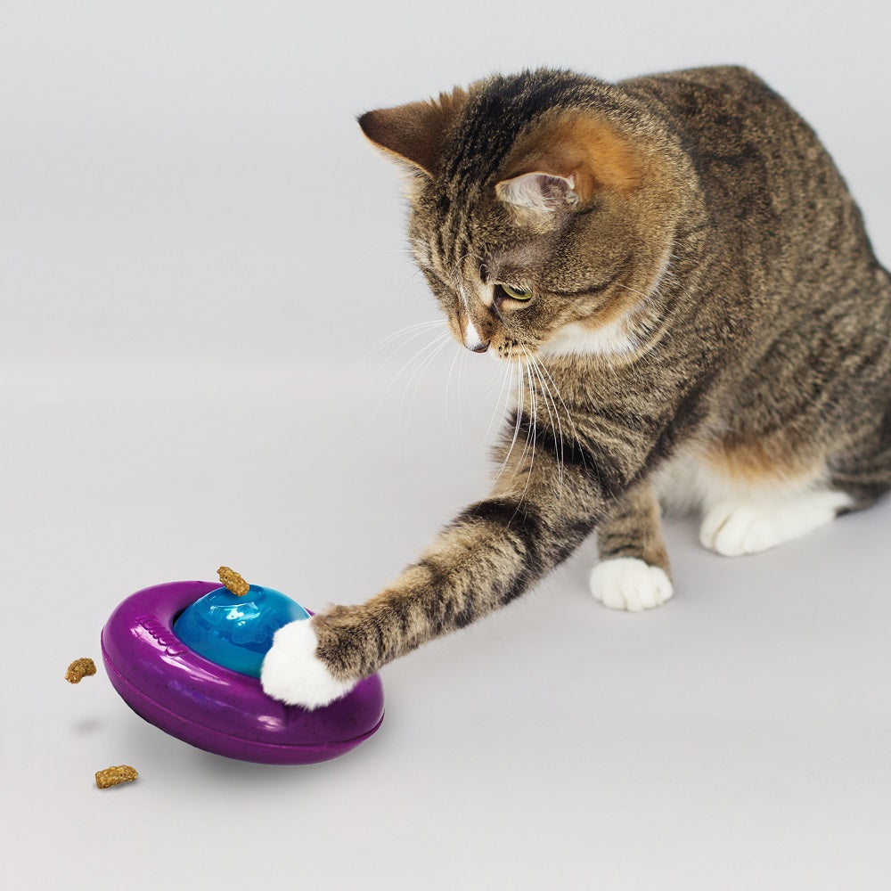 Kong Infused Cat Gyro - Cat Feeder Toy