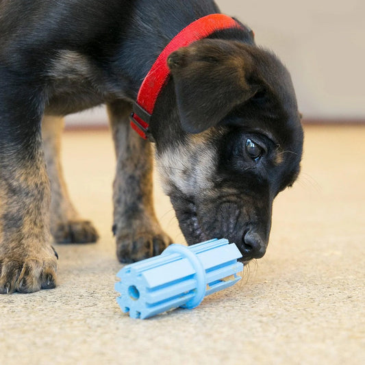 Kong Puppy Teething Stick