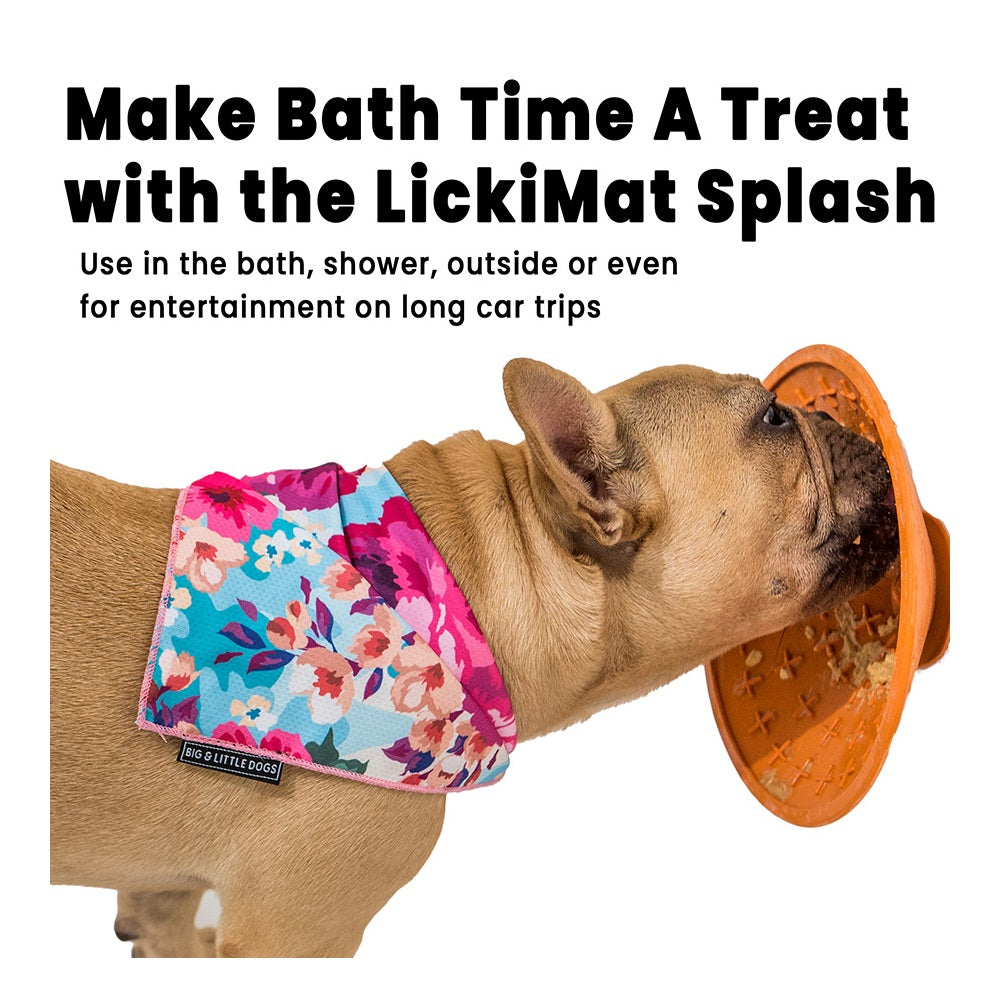 Lickimat Splash