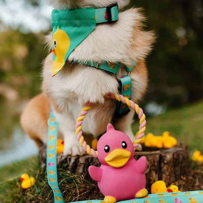 Max and Molly "Ducklings" Bandana