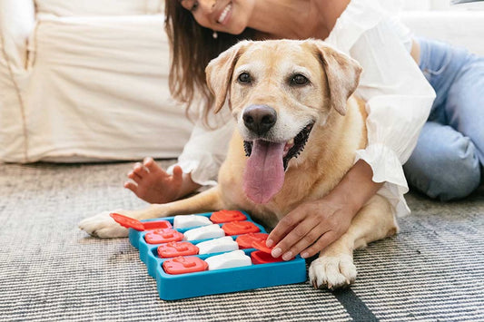 Dog Brick – Interactive Treat Puzzle Toy