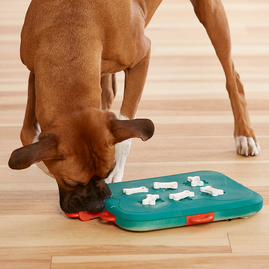 Dog Casino – Interactive Treat Puzzle Toy