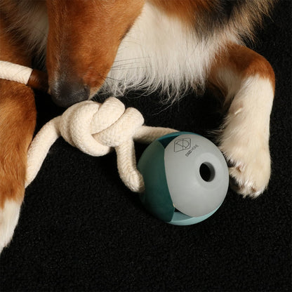 Nora Lagoon Dog Toy