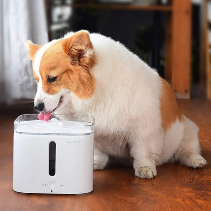 Petkit Eversweet Drinking Fountain - Introductory Deal save 40%!!!