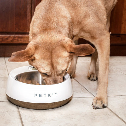 Petkit Fresh Metal Smart Bowl - Introductory Special 50% Off!!