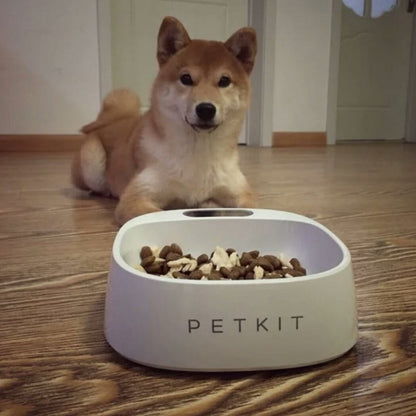 Petkit Fresh Smart Antibacterial Bowl - Introductory Deal Save 50%!