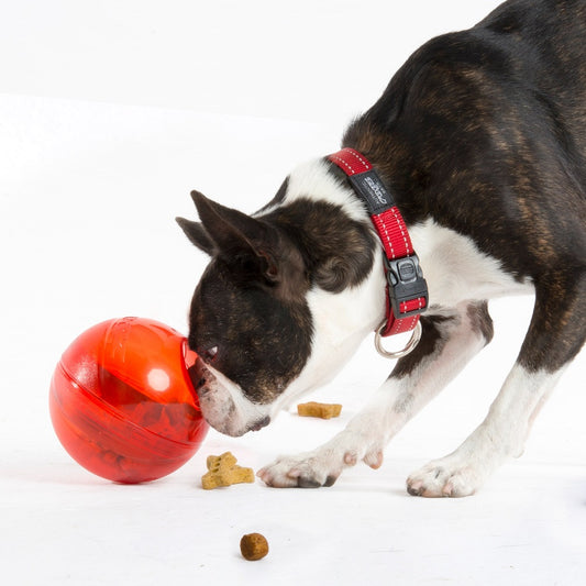 Rogz Tumbler - Treat Dispensing Toy