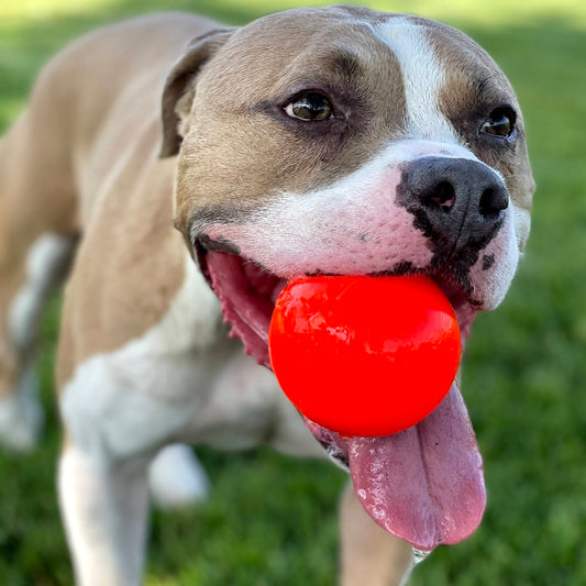 Ruff Dawg Indestructible Ball