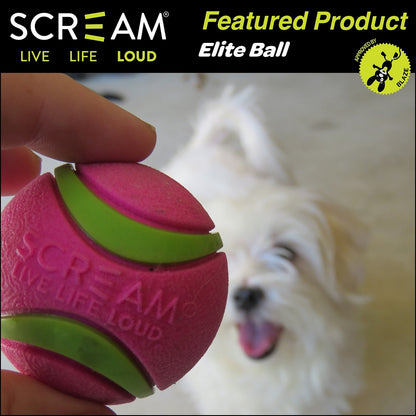 Scream Elite Ball