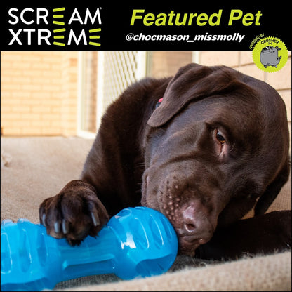 Scream Xtreme Dumbbell