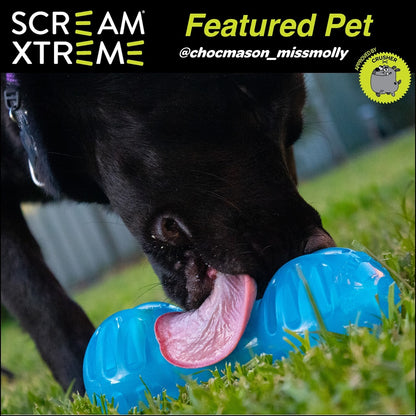 Scream Xtreme Dumbbell