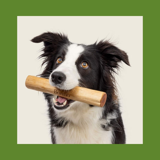 Bonno – The Mānuka Chew for Dogs